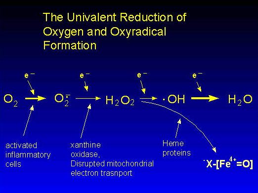 oxy-radicals